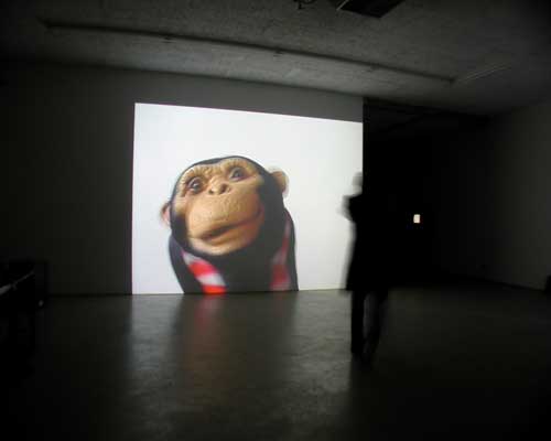 Monkeytheater