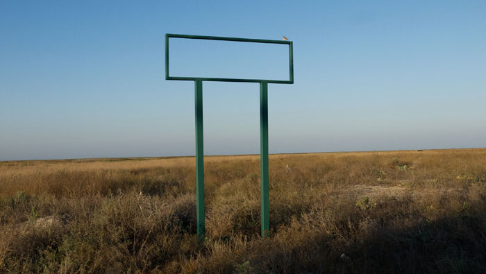 Bird on Nothing