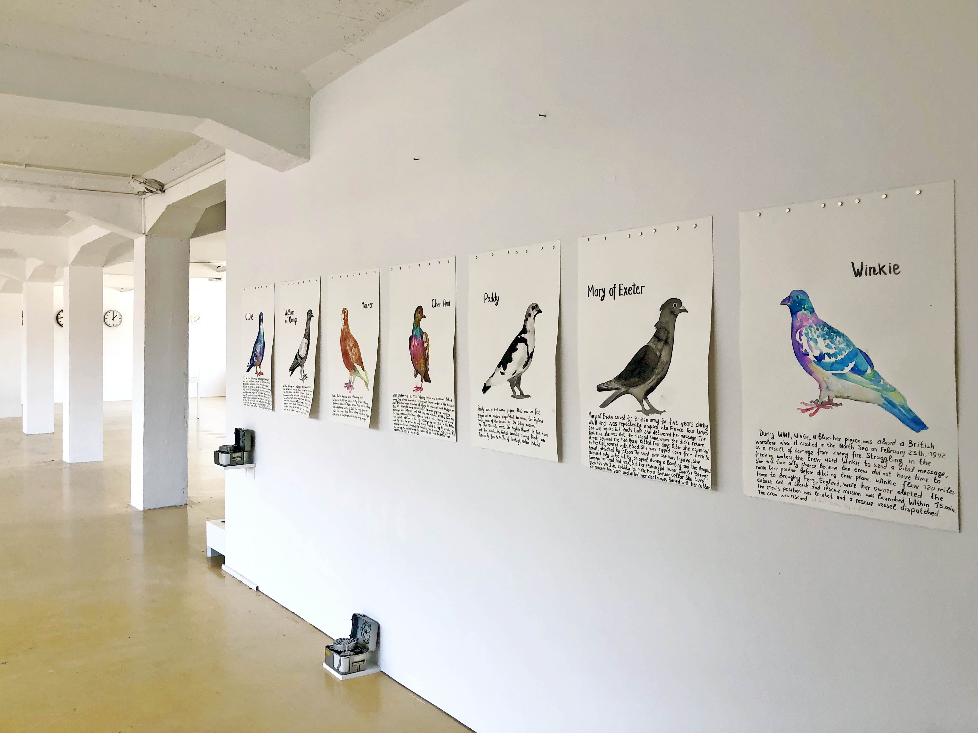 Famous Pigeons