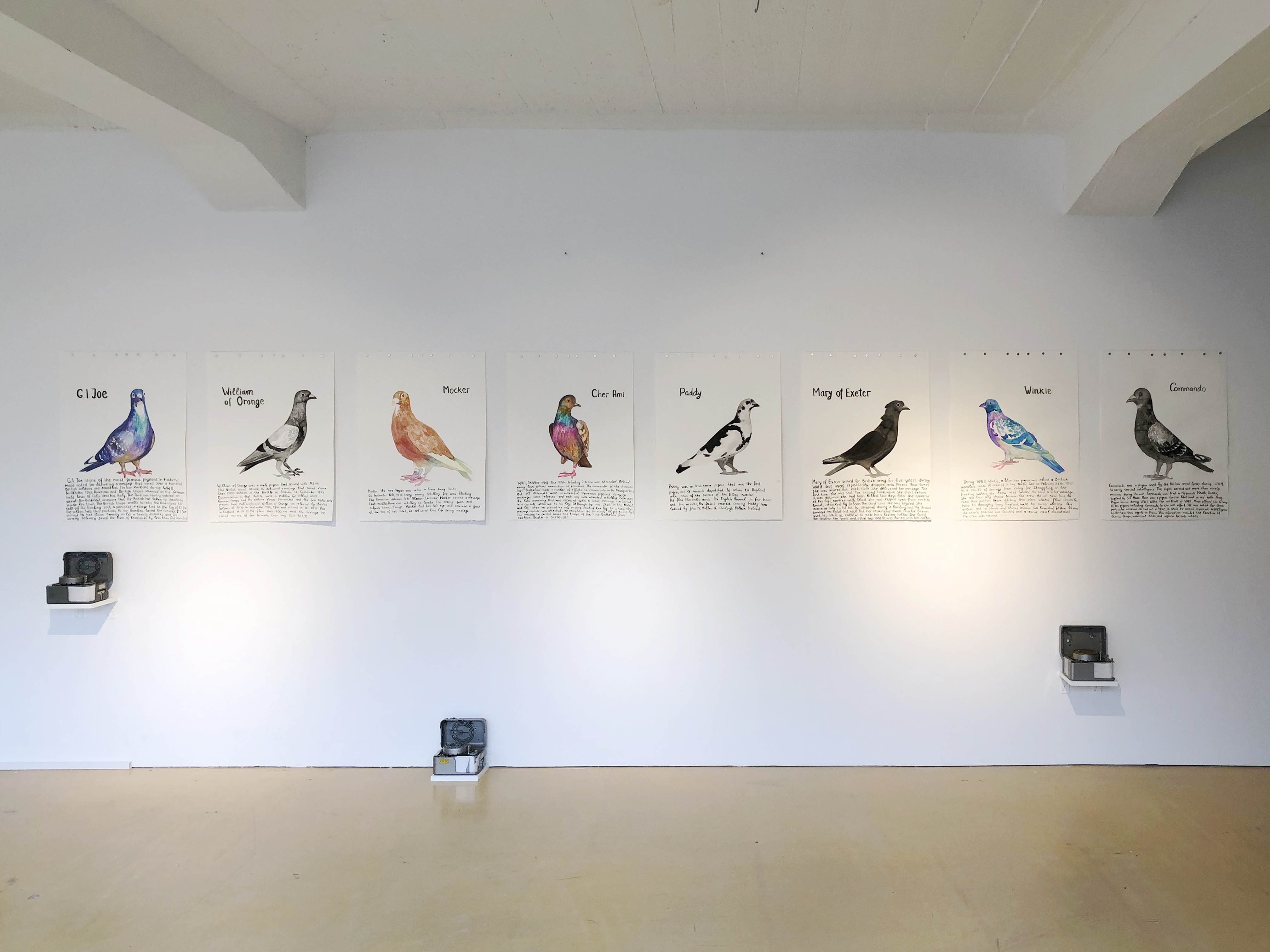 Famous Pigeons