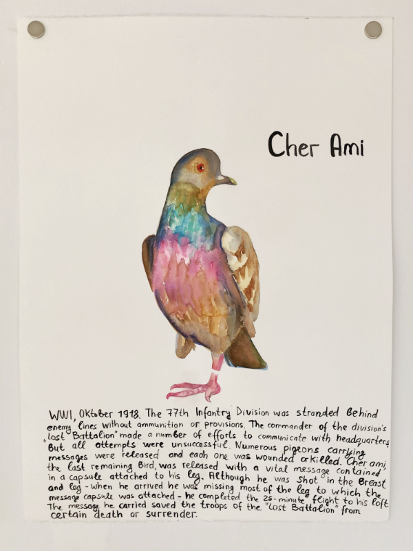 Famous Pigeons