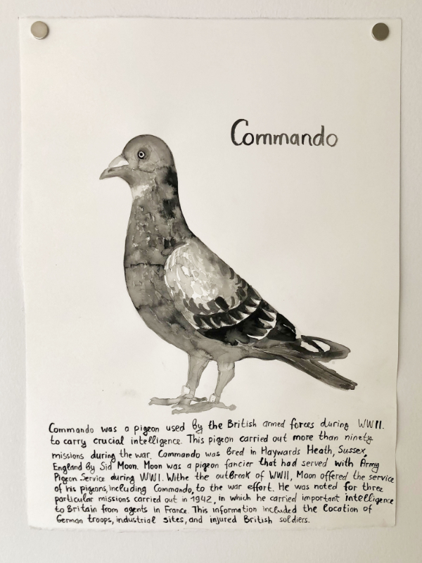 Famous Pigeons
