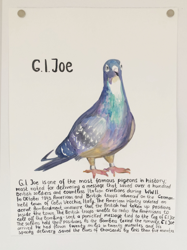 Famous Pigeons