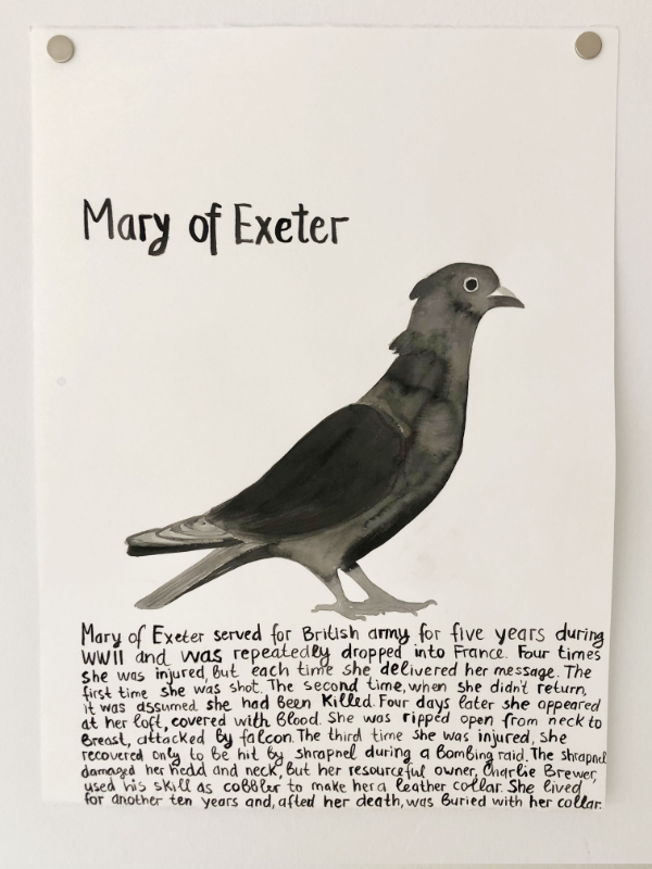 Famous Pigeons
