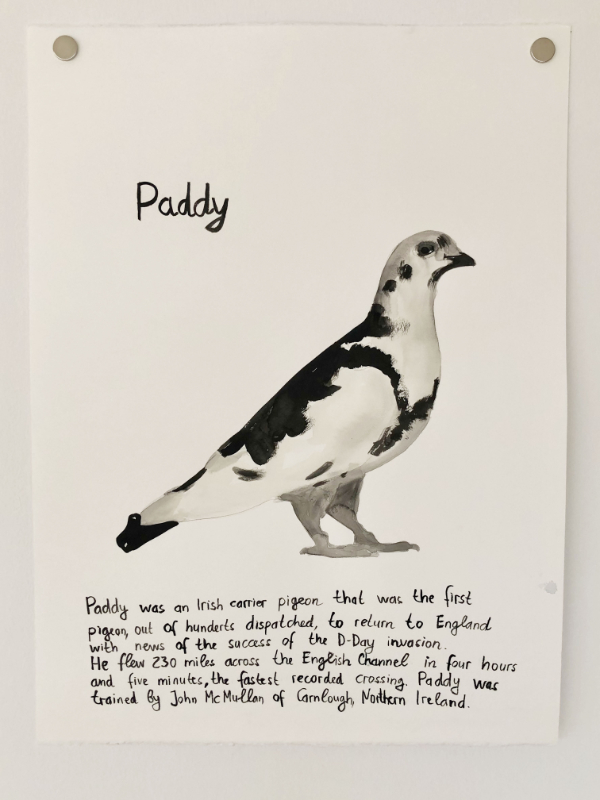 Famous Pigeons