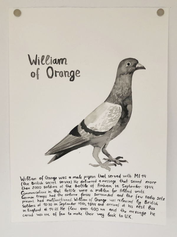 Famous Pigeons