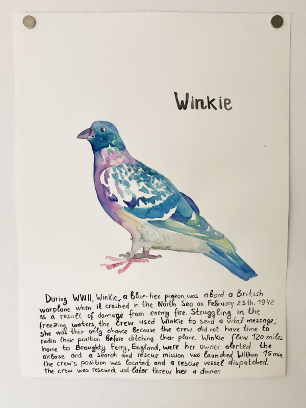 Famous Pigeons