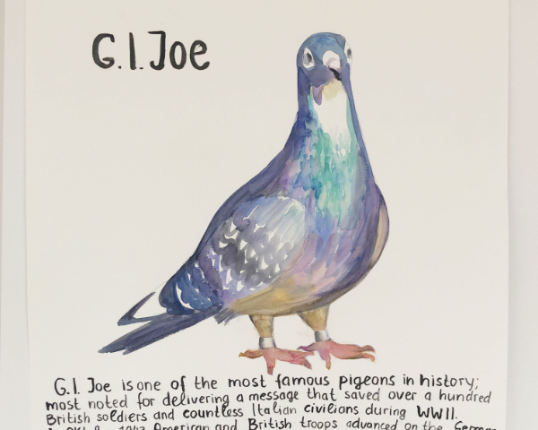 Famous Pigeons